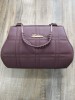DAN Enterprises Women Purple Messenger Bag 