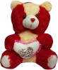De-Ultimate Tts0003 (Size:35x30cm) Premium Quality Attractive Cute Sitting Multicolor Heart Best Wishes Teddy Bear Soft Fur Stuffed Toy Special Occasional Valentine?s Day, Birthdays and Festivals Gifts for Kids and Adults  - 35 cm 